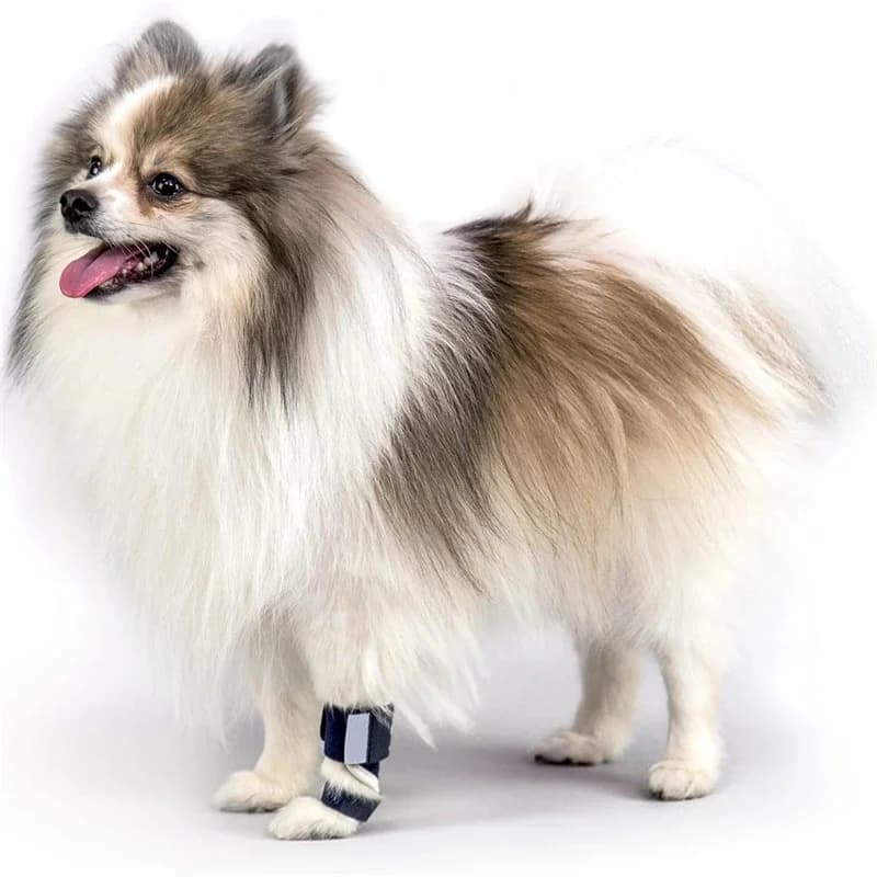 Hund Vordere Bein Brace Schiene Karpaltunnelsyndrom Hyperextension Hund Brace Unterstützung Für Behinderte Verletzte Kleine Hund Katze Frakturen