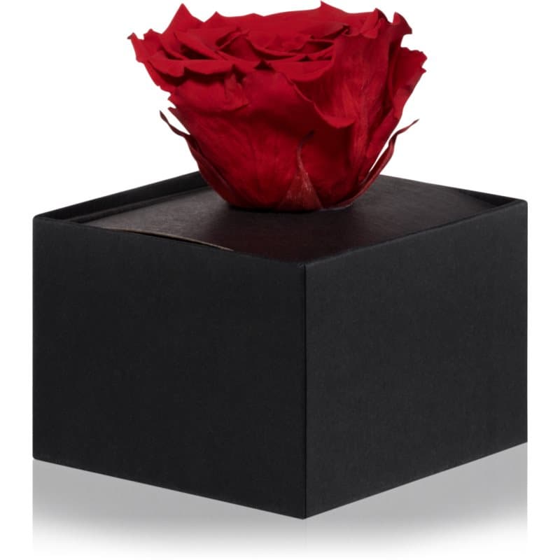 RoseAmor Red stabilisierte Rose in der Box 1 St.