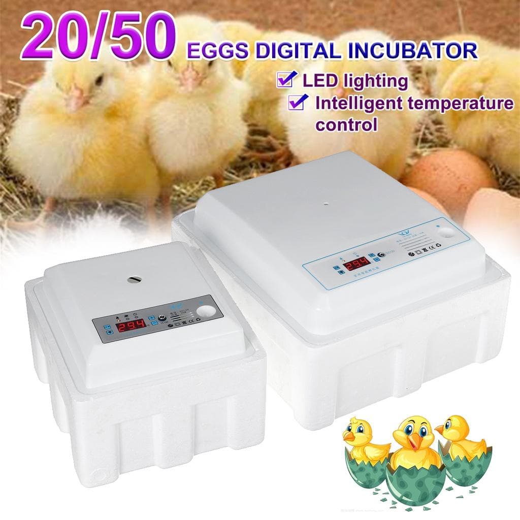 Digitale Inkubationsbox, Eierinkubator, automatisch, geeignet zum Schlüpfen von Schlangen, Eidechsen, Reptilien, Reptilien-Eierbox,