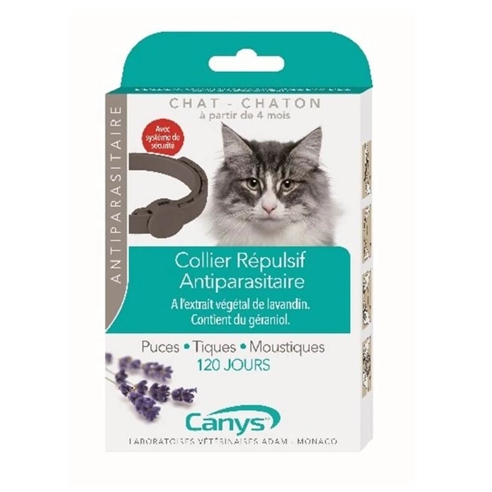 Canys Insektenschutz-Halsband für Katzen und Kätzchen 35cm