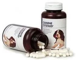 Cystaid Canine 120 Kapseln