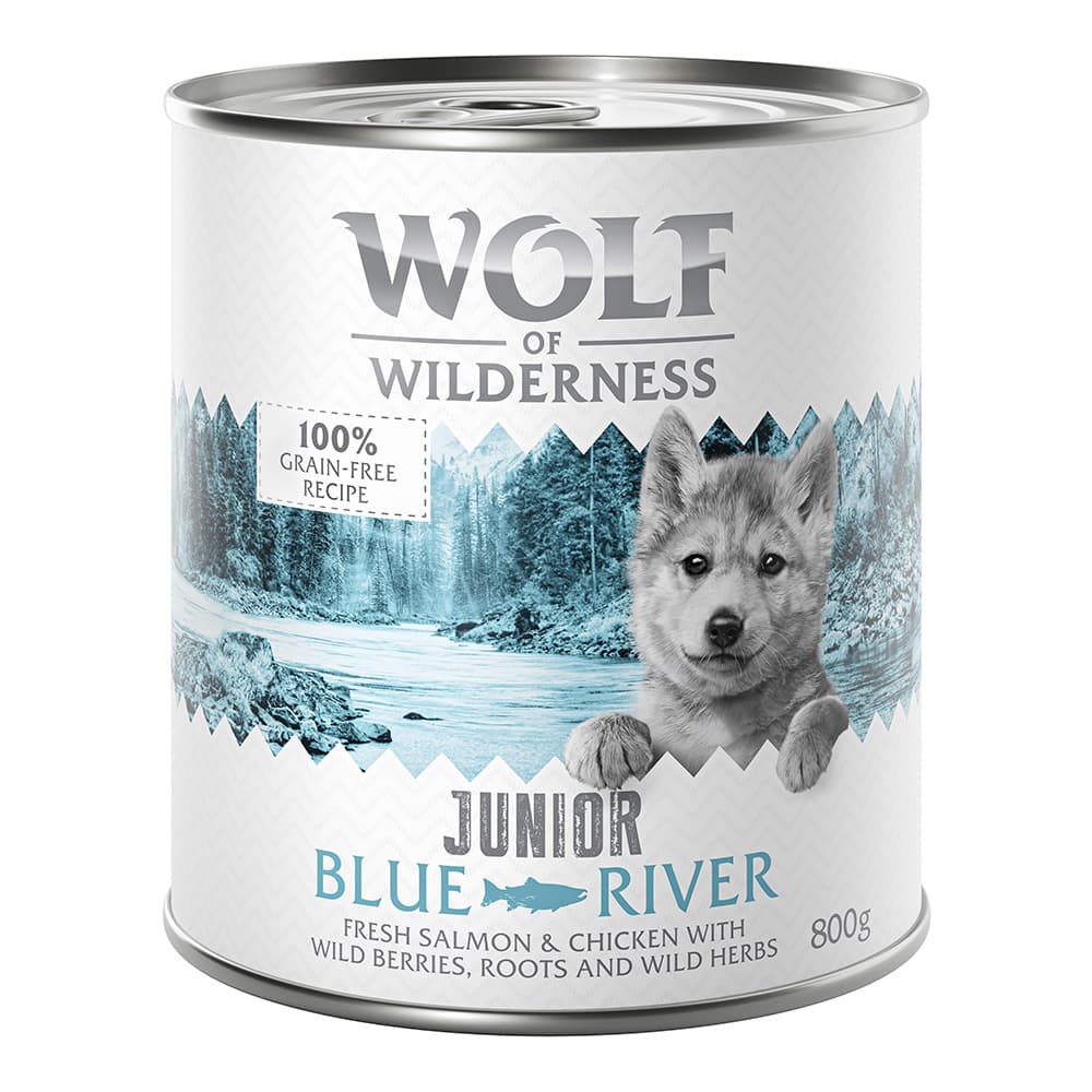 Sparpaket Little Wolf of Wilderness Junior 24 x 800 g - Duo-Protein - Blue River - Huhn & Lachs