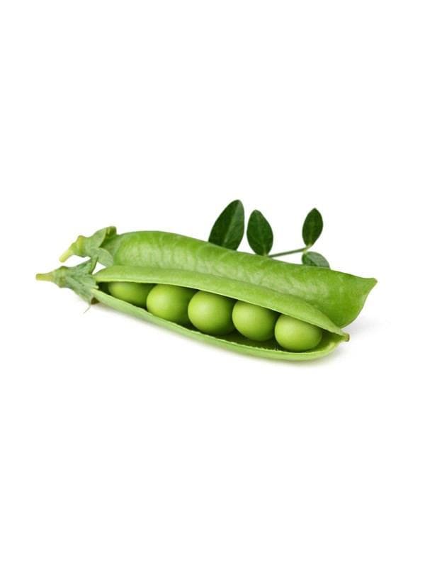 Click & Grow - Smart Garden Refill 3-pack Dwarf Pea