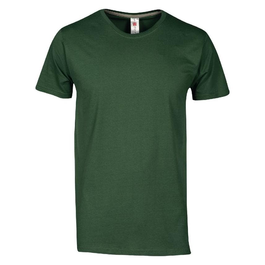 Payper, Herren, Shirts, T-Shirt, Grün, (S)