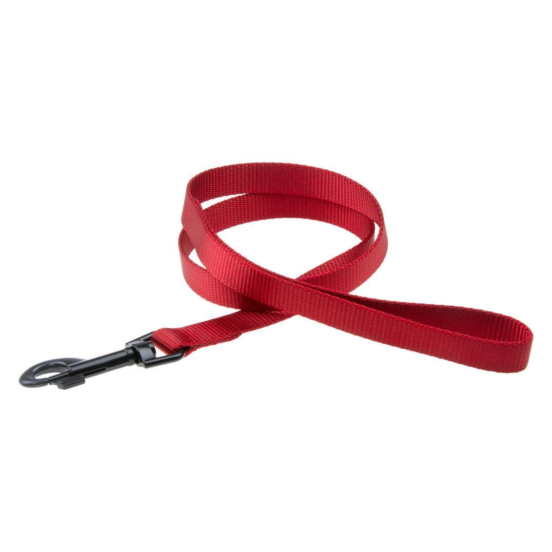 Karlie Art Sportiv Plus (XS, Hund, Spazieren), Halsband + Leine