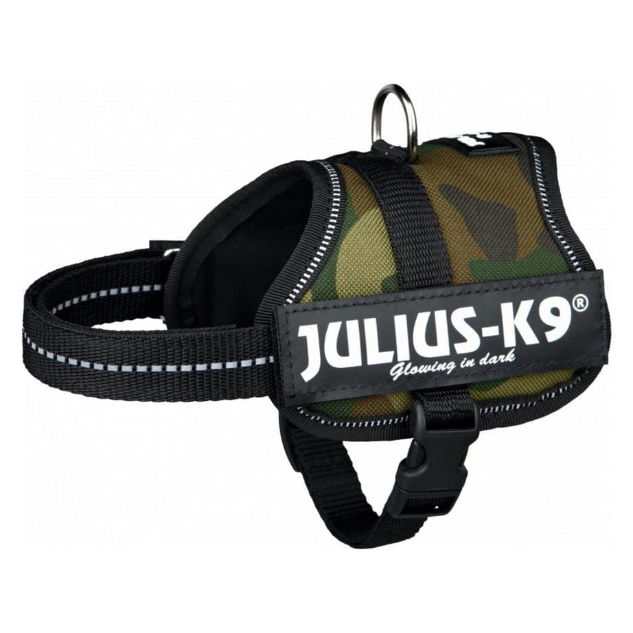Julius-K9 Powergeschirr für kleinere Hunde ergonomisch (XXS, Hund), Halsband + Leine