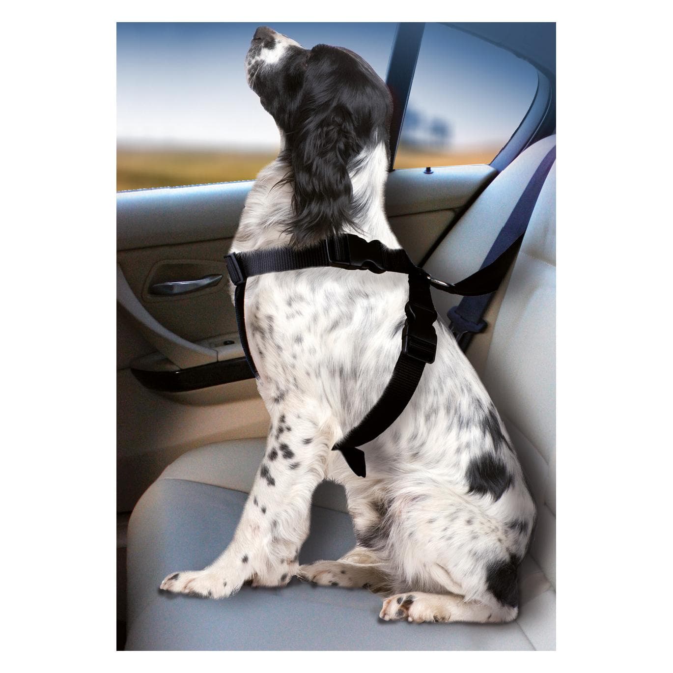 Karlie Auto-Hundegeschirr (Hund, Abschliessbar, Faltbar), Tiertransport