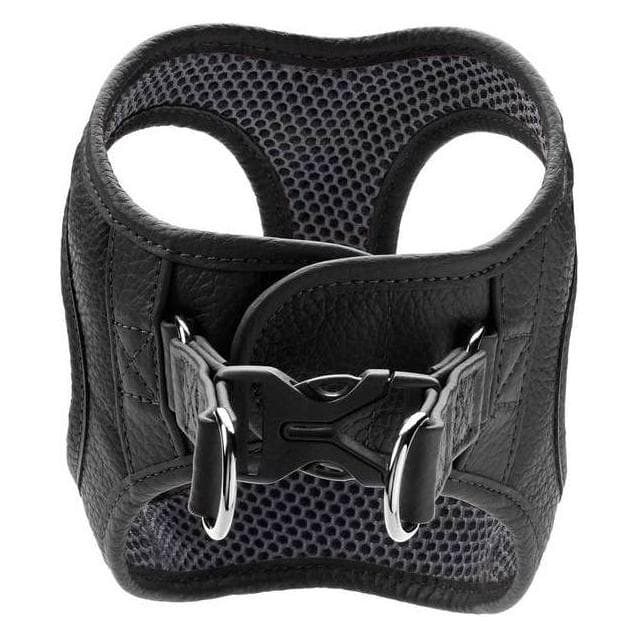 Hunter Geschirr Hilo (XS, XXS, Hund), Halsband + Leine