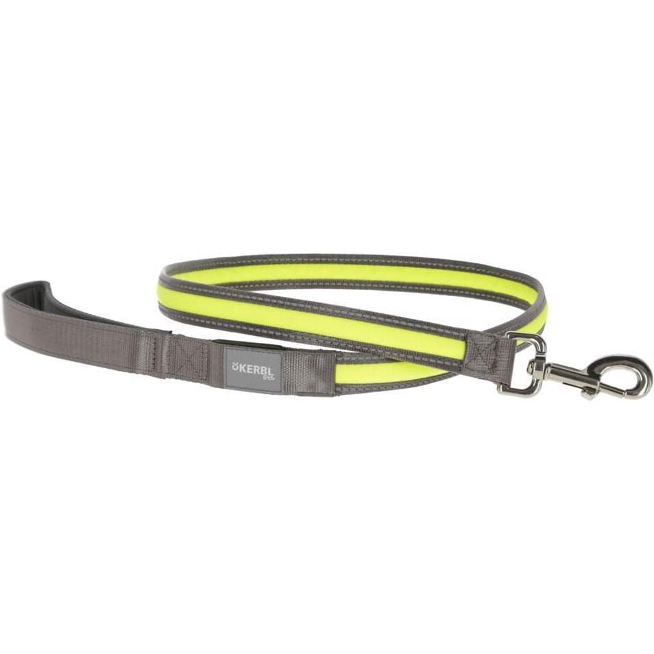 Kerbl Leuchtleine (Hund), Halsband + Leine
