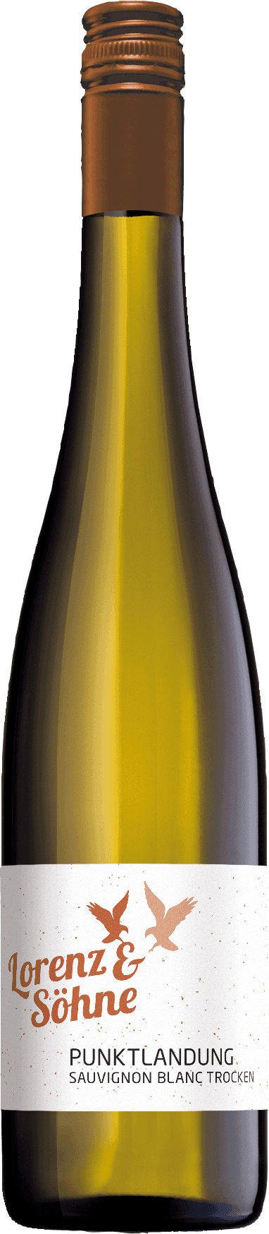 Weingut Lorenz & Söhne Sauvignon Blanc Qualitätswein trocken "Punktlandung" - 2024