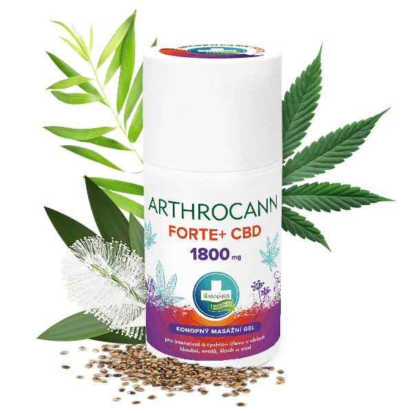 Annabis Arthrocann Gel Forte+ 1800mg CBD Massage Gel Für Kolossale Entlastung, 90 ml