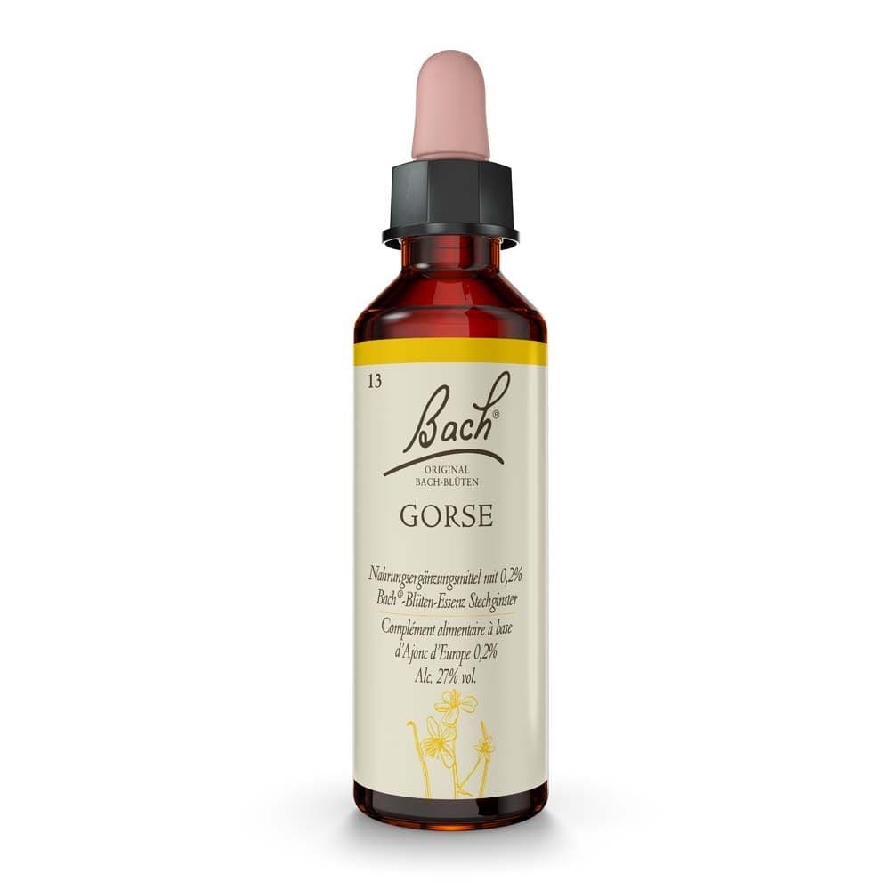 Bach®-Blüte Gorse (Stechginster) Tropfen 20 ml