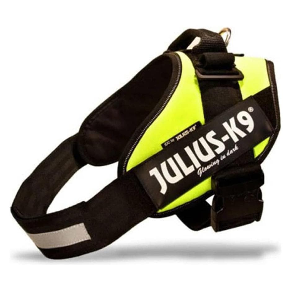 Julius-K9 IDC Geschirr für grössere Hunde ergonomisch (XL, Hund), Halsband + Leine