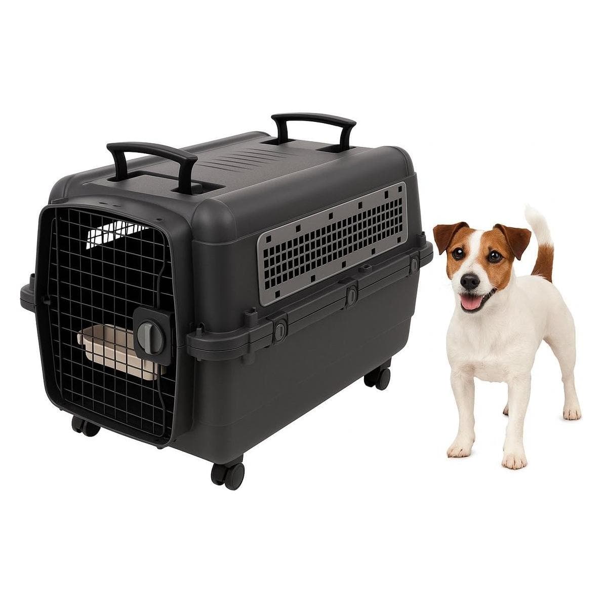 Flamingo Reise-Bankhund, Tiertransport