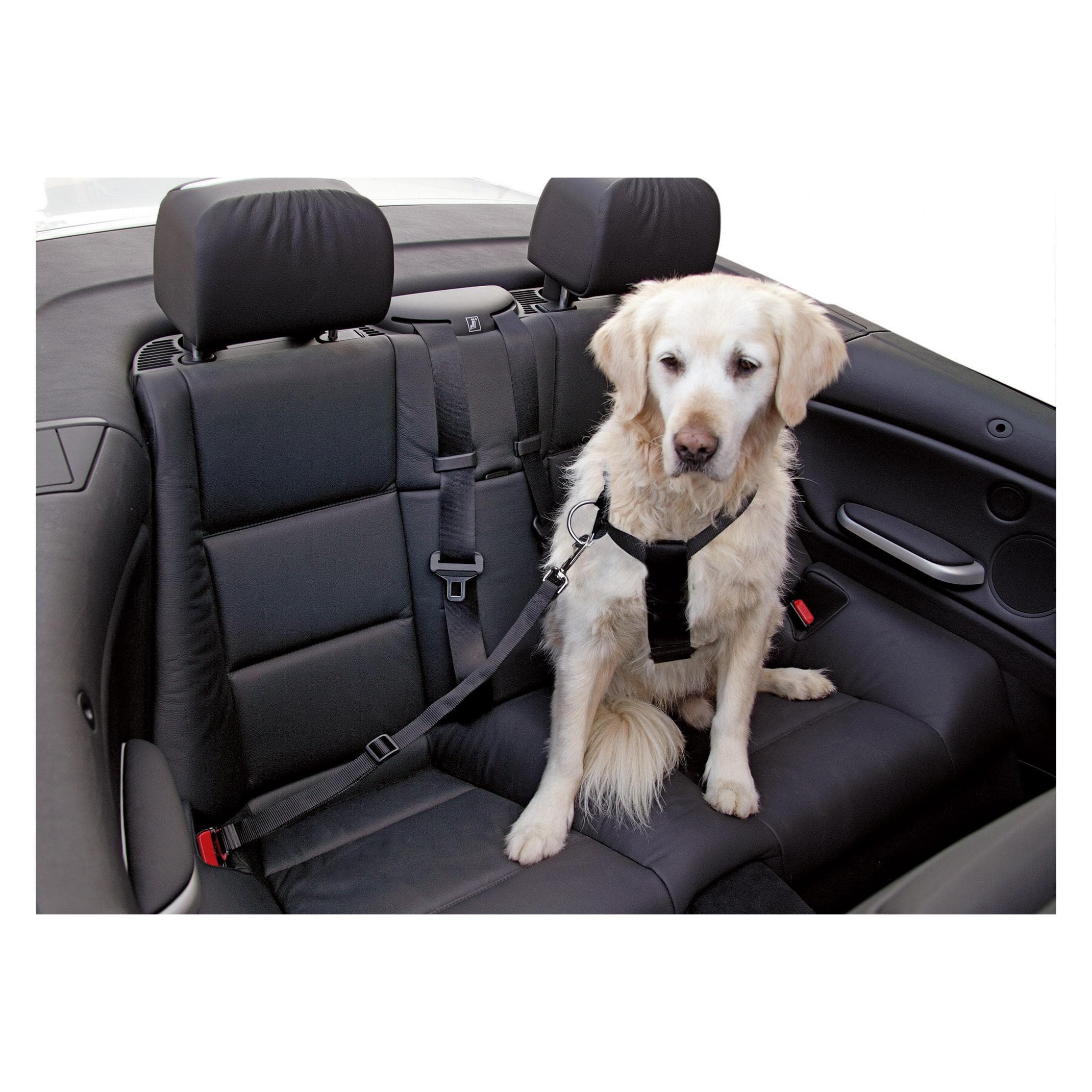 Kerbl Autohundegeschirr (Hund), Tiertransport