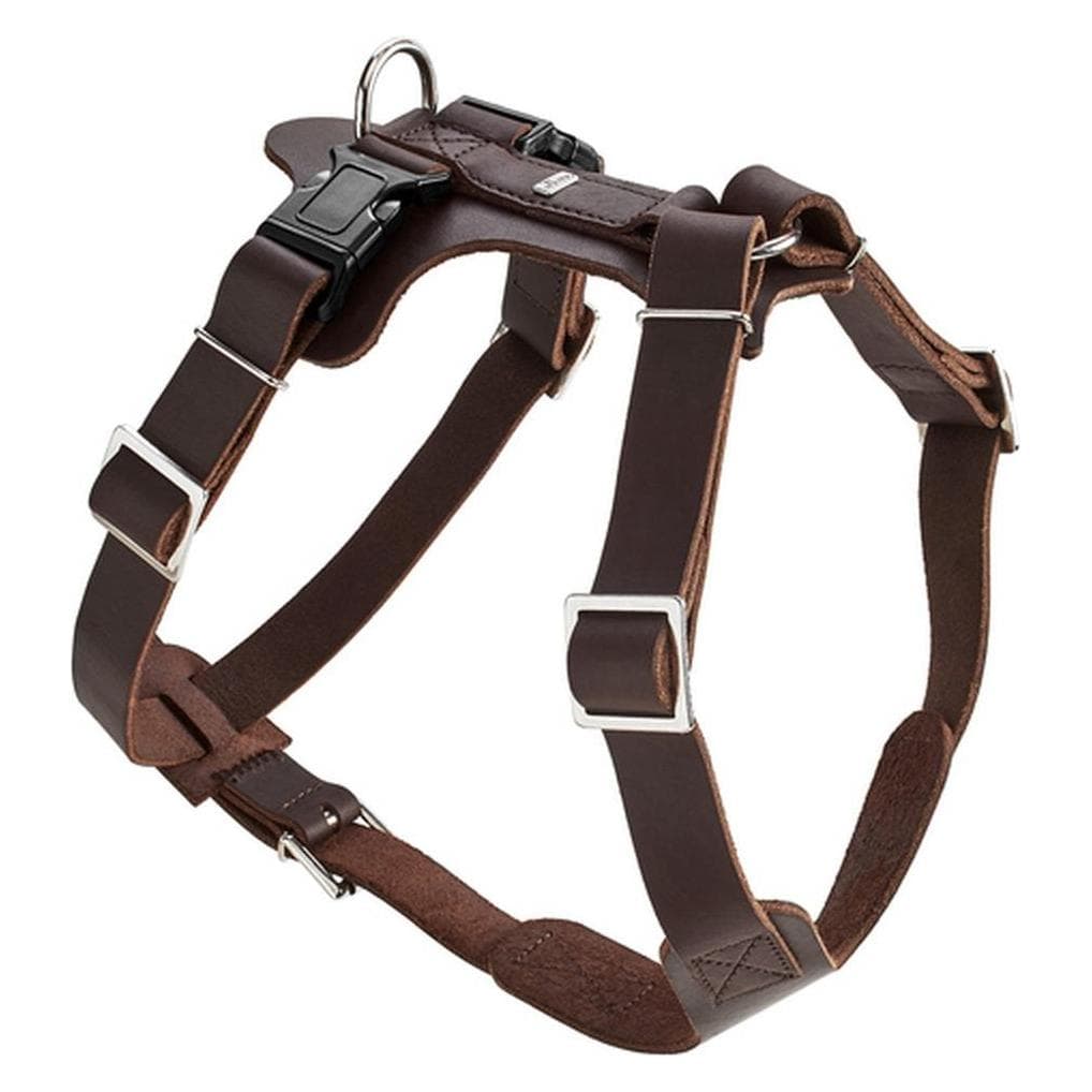 Hunter Aalborg (M, S, Hund, Spazieren), Halsband + Leine