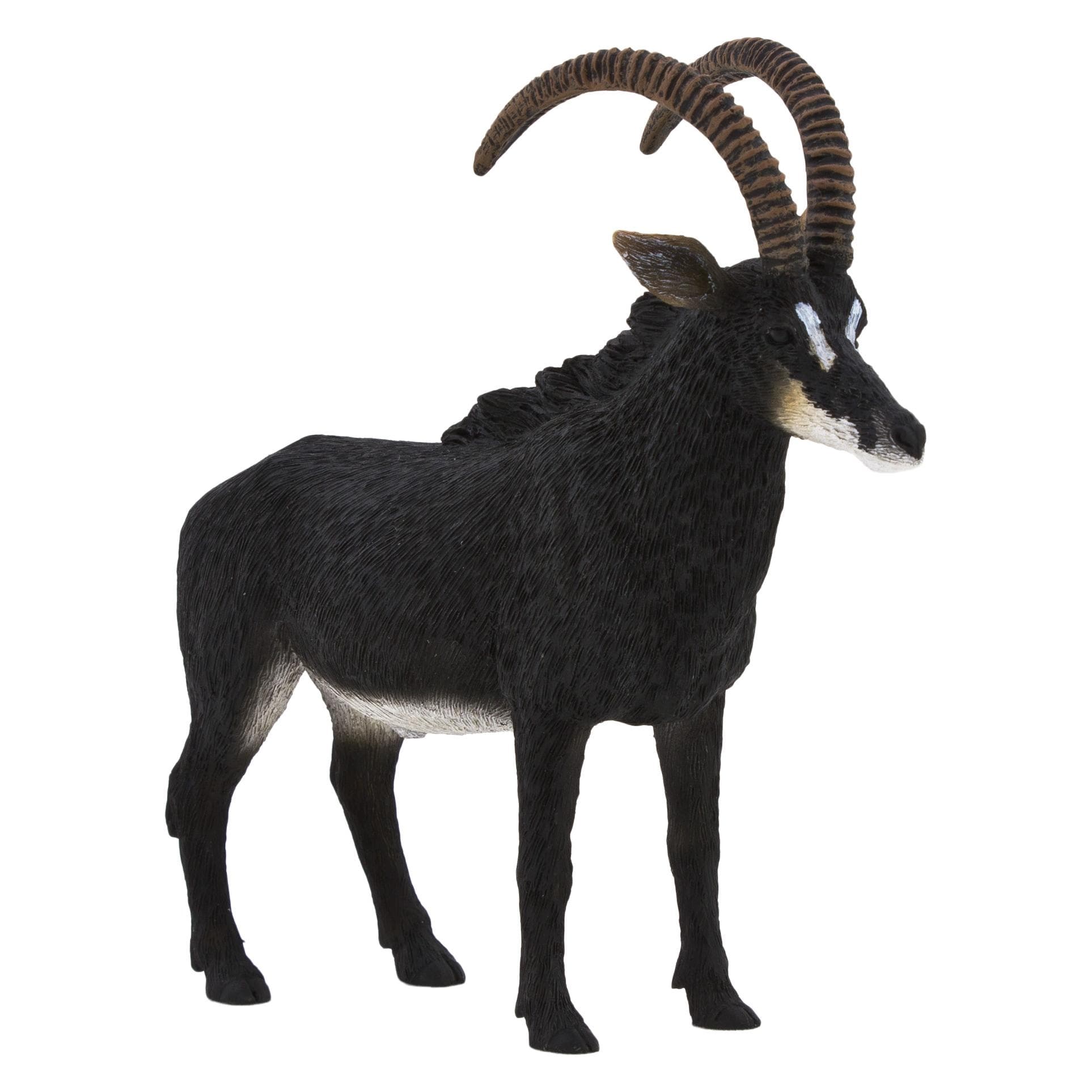 Animal Planet Rappenantilope