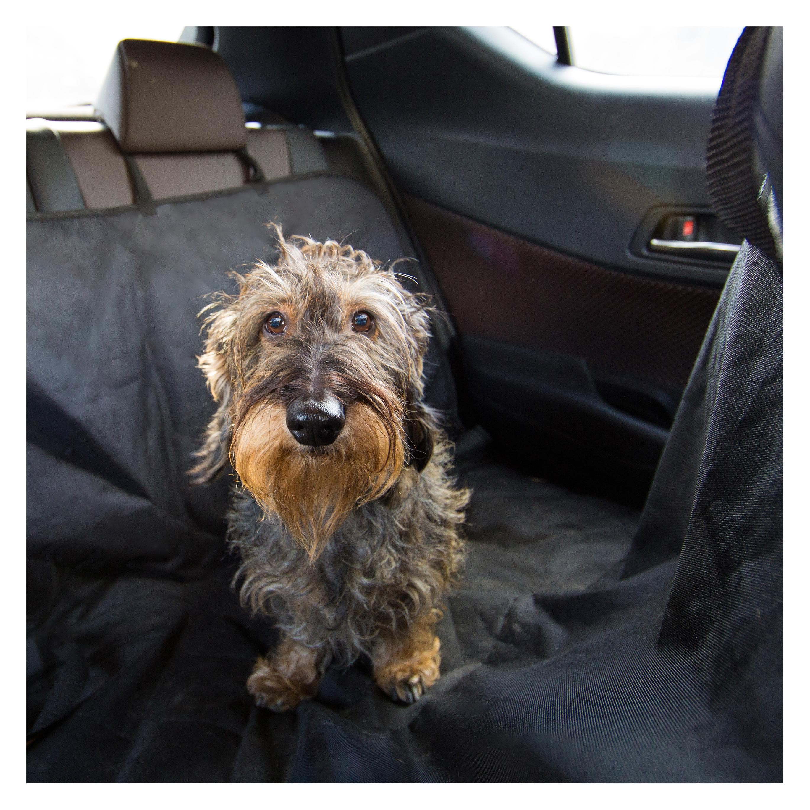 Relaxdays Hundedecke (Hund), Hundebett + Katzenbett