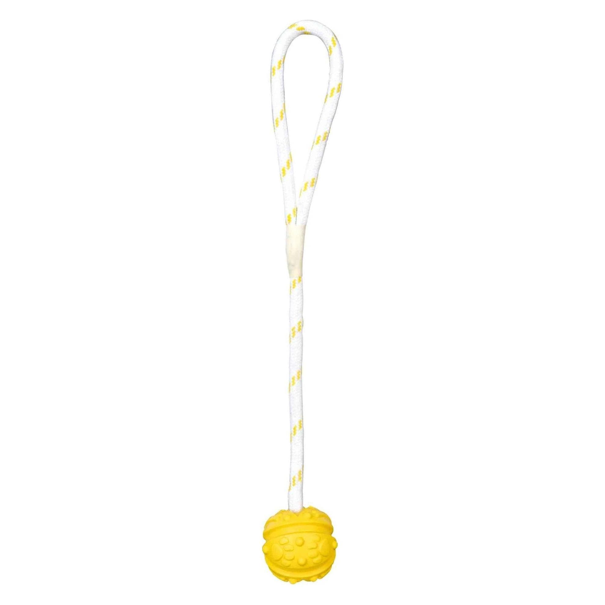 Trixie Ball am Seil (Apportieren), Hundespielzeug
