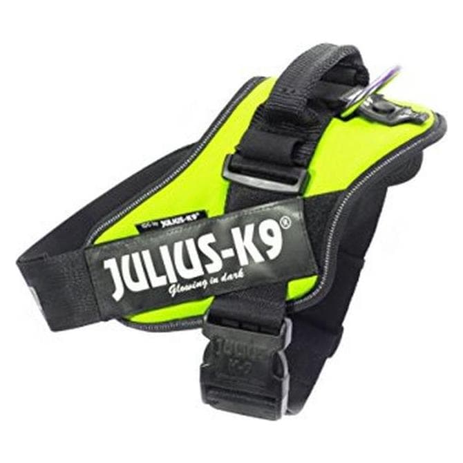 Julius-K9 IDC Geschirr für grössere Hunde ergonomisch (L, Hund, Allgemein), Halsband + Leine