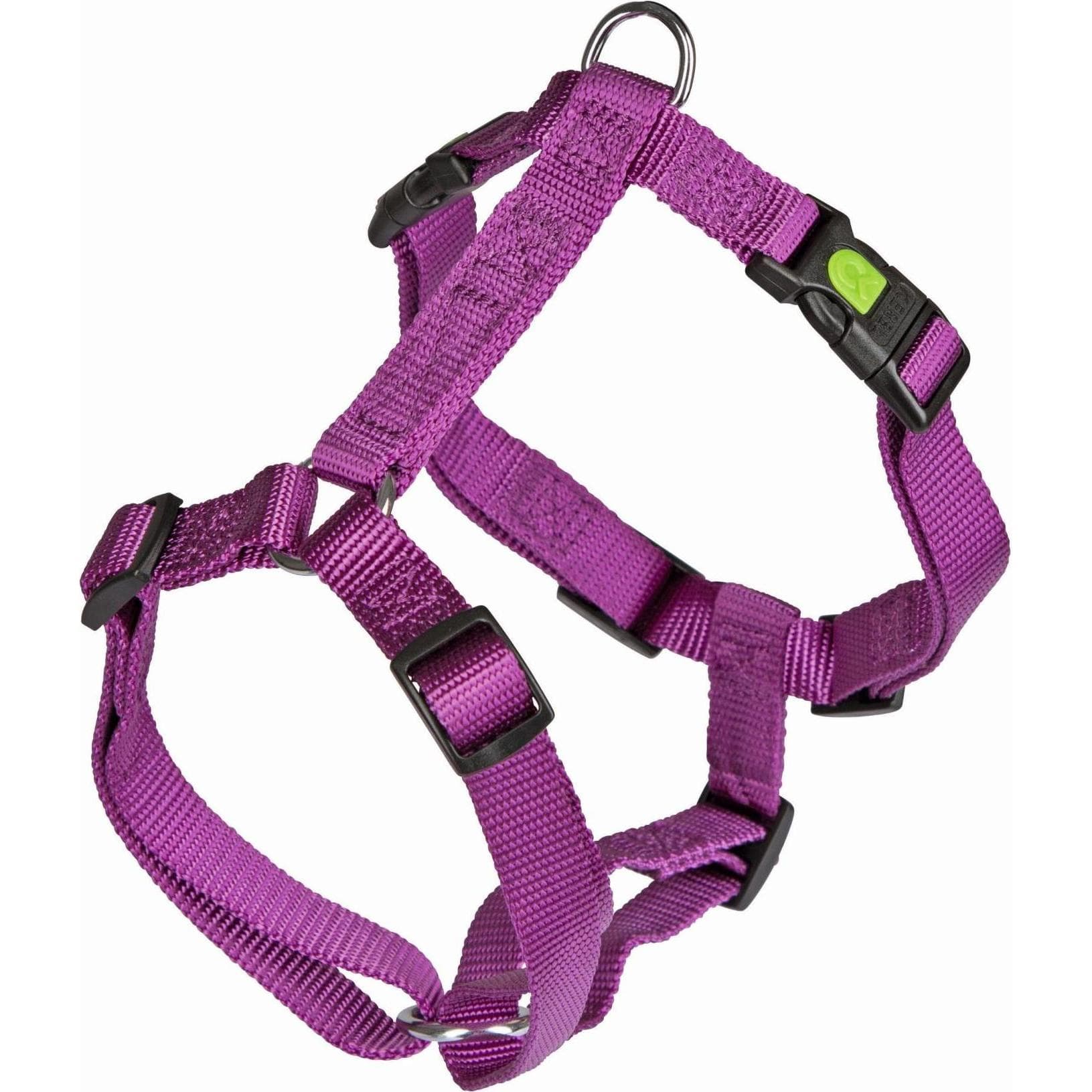 Kerbl Geschirr Miami (56, 58, 60, 62, 68, Hund, Hundesport), Halsband + Leine