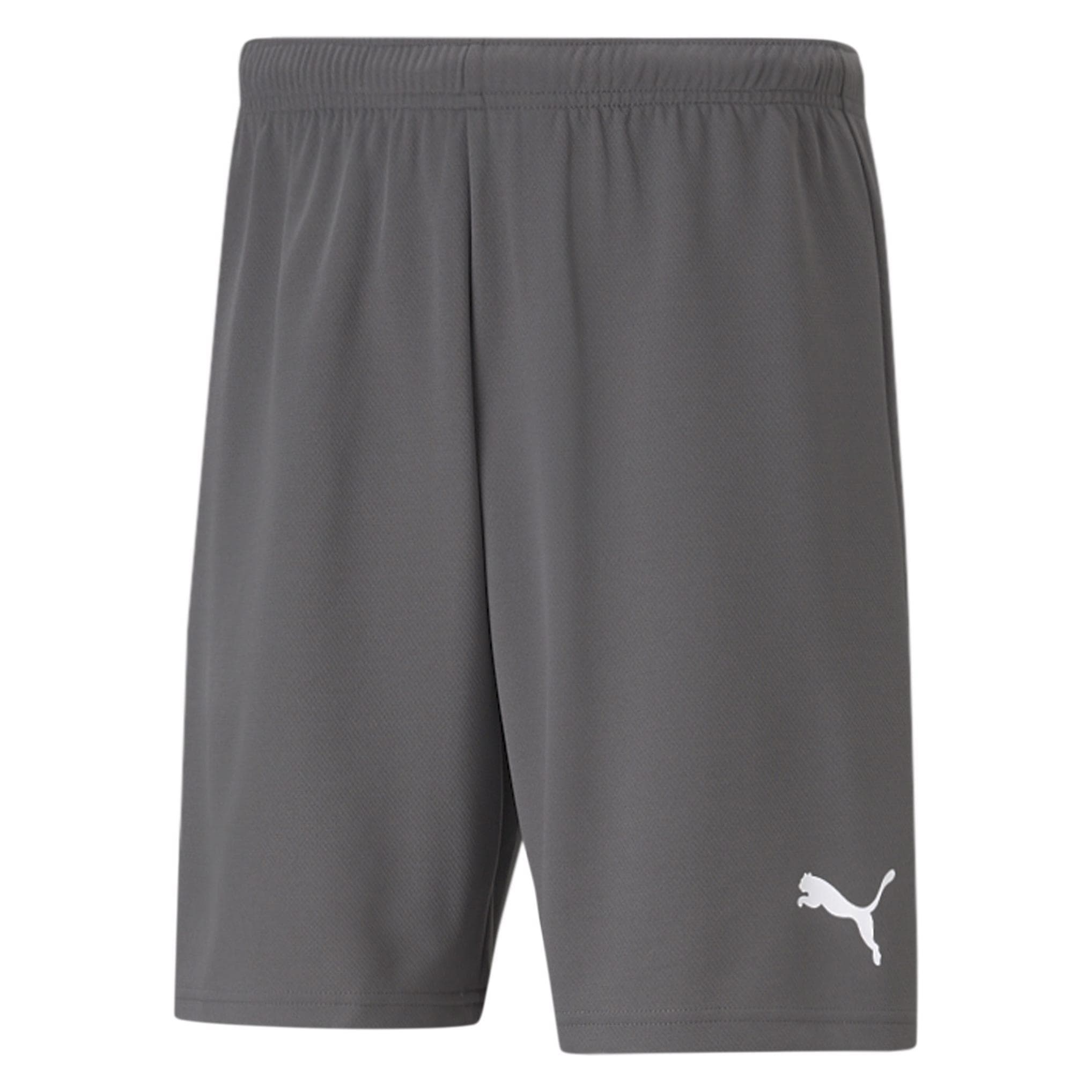 Puma, Herren, Sporthose, teamRISE Short-704942 (XL), Grau