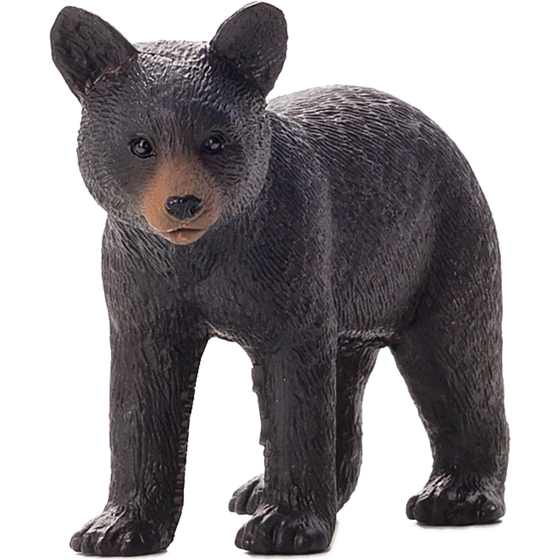 Animal Planet Schwarzbär Junges