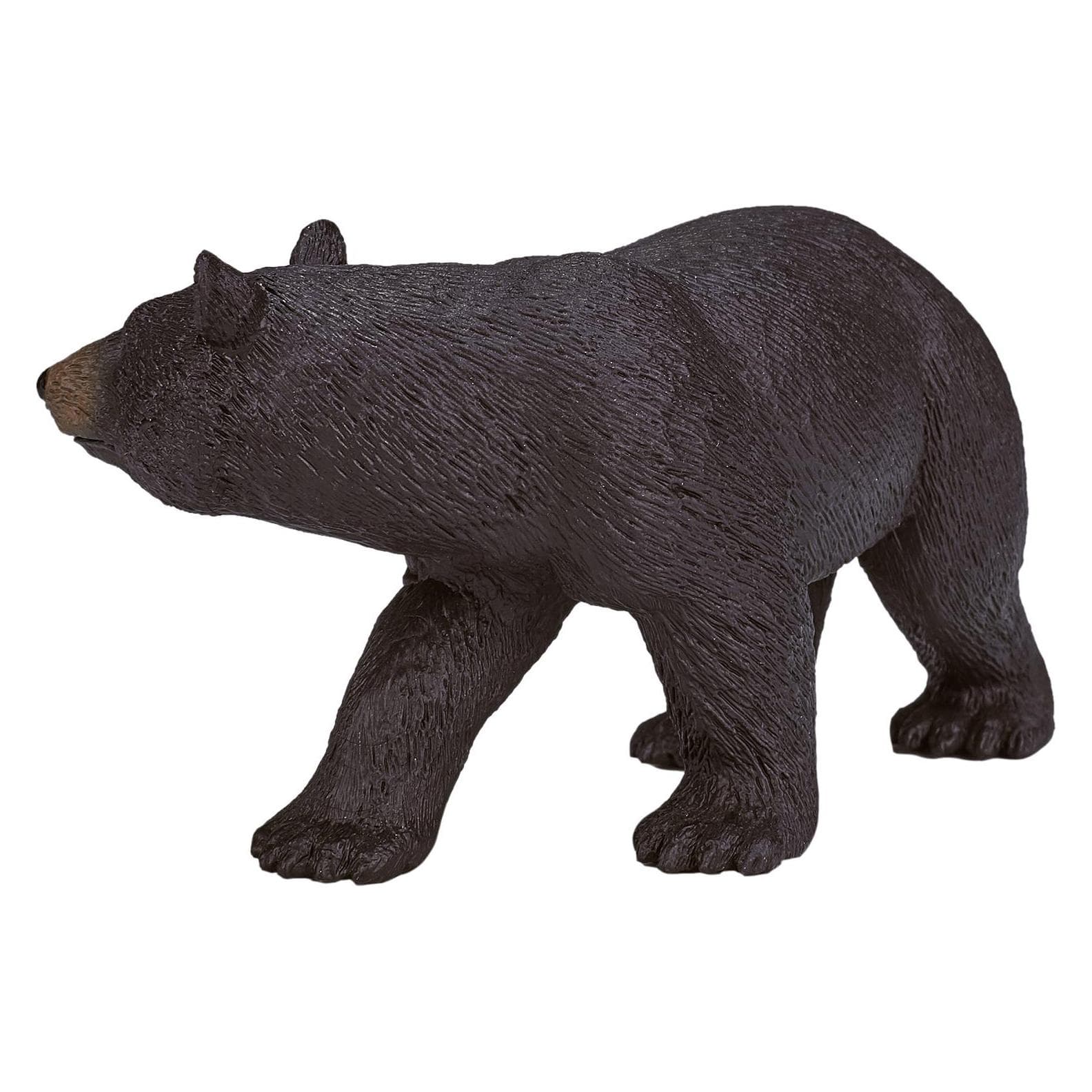 Animal Planet Amerikanischer Schwarzbär