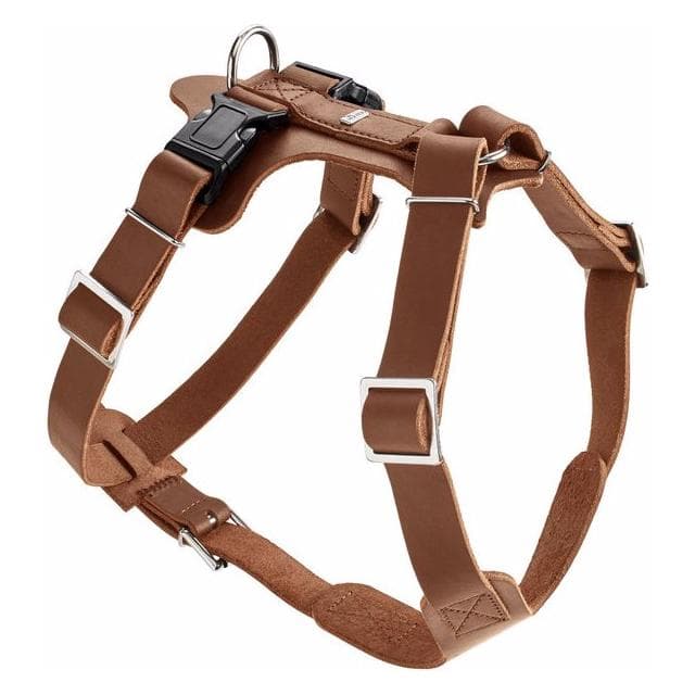 Hunter Geschirr Aalborg (XS, Hund, Spazieren), Halsband + Leine