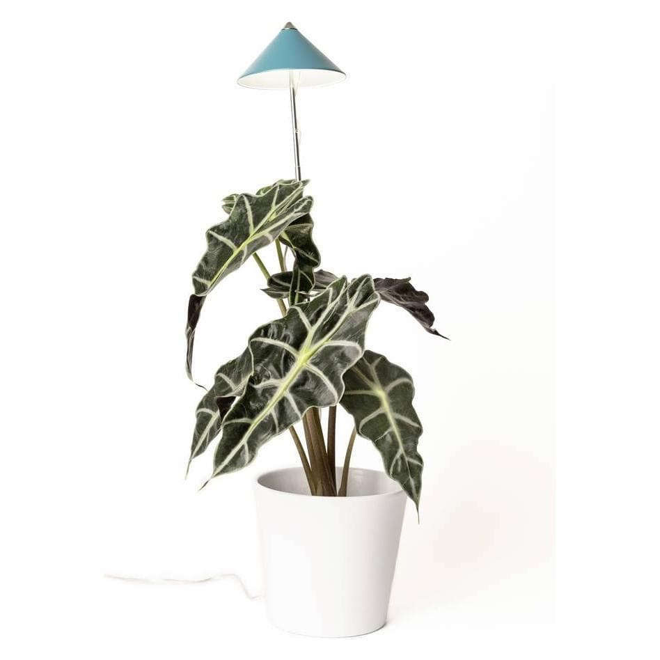 Parus by Venso, Pflanzenlampe, Sunlite (LED)