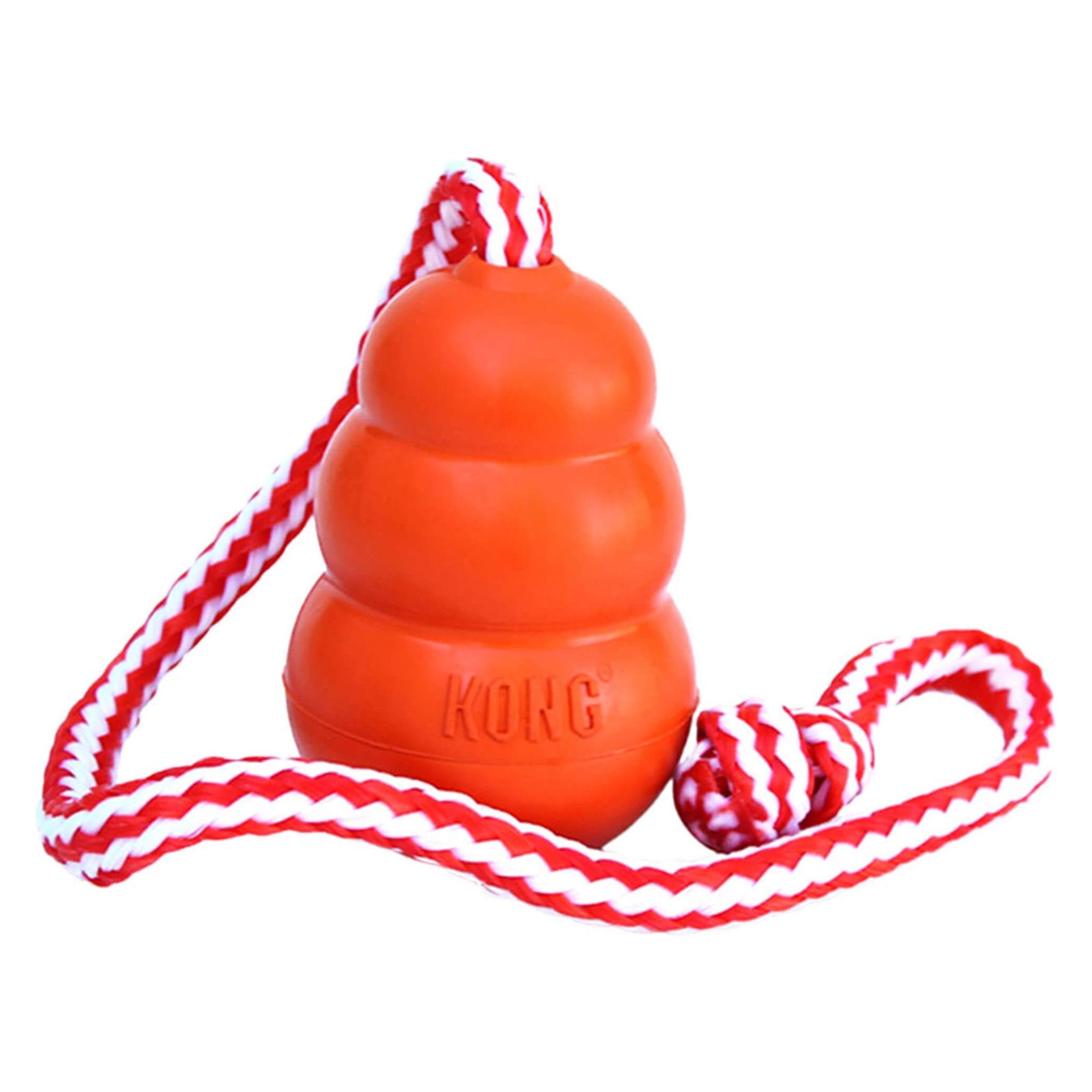 KONG Aqua (Apportieren), Hundespielzeug