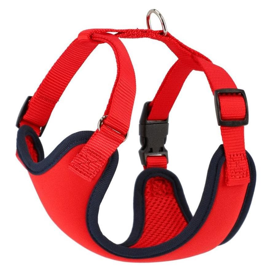 Red Dingo DINGO Anti-pressure - Hundegeschirr - 39-51 cm (Hund, Spazieren), Halsband + Leine