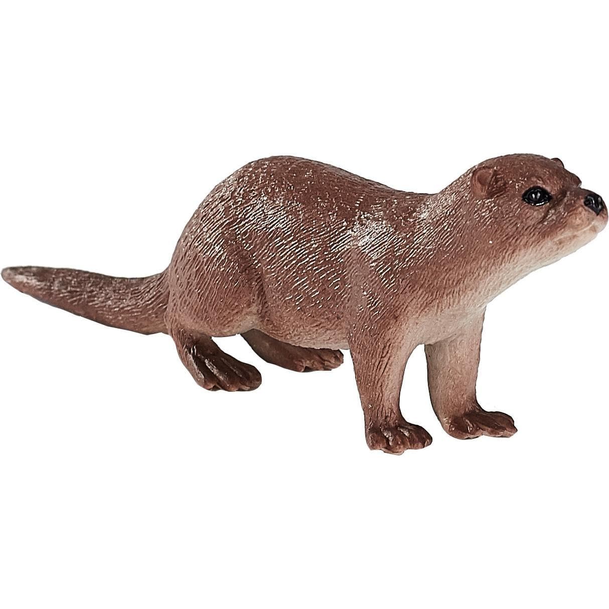 Animal Planet Fischotter