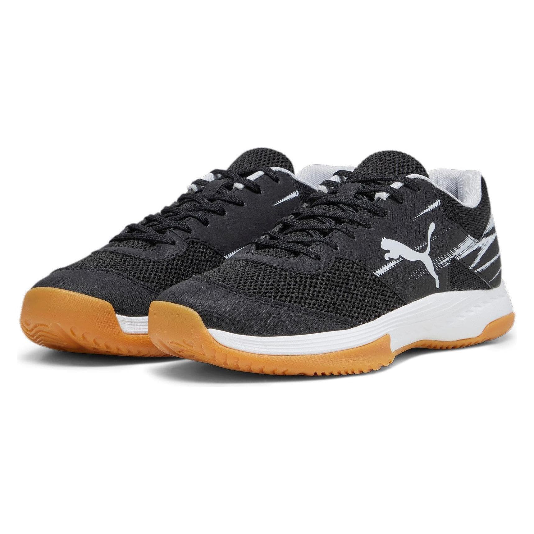 Puma, Unisex, Hallenschuhe, Varion II (44.5), Schwarz