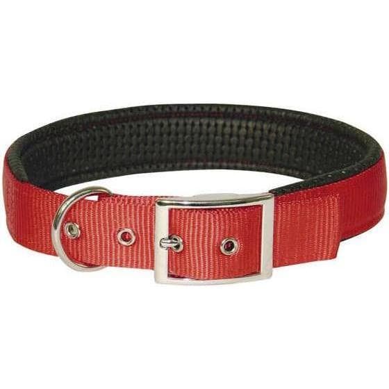 Kerbl Halsband Miami Plus (Hund, Allgemein), Halsband + Leine