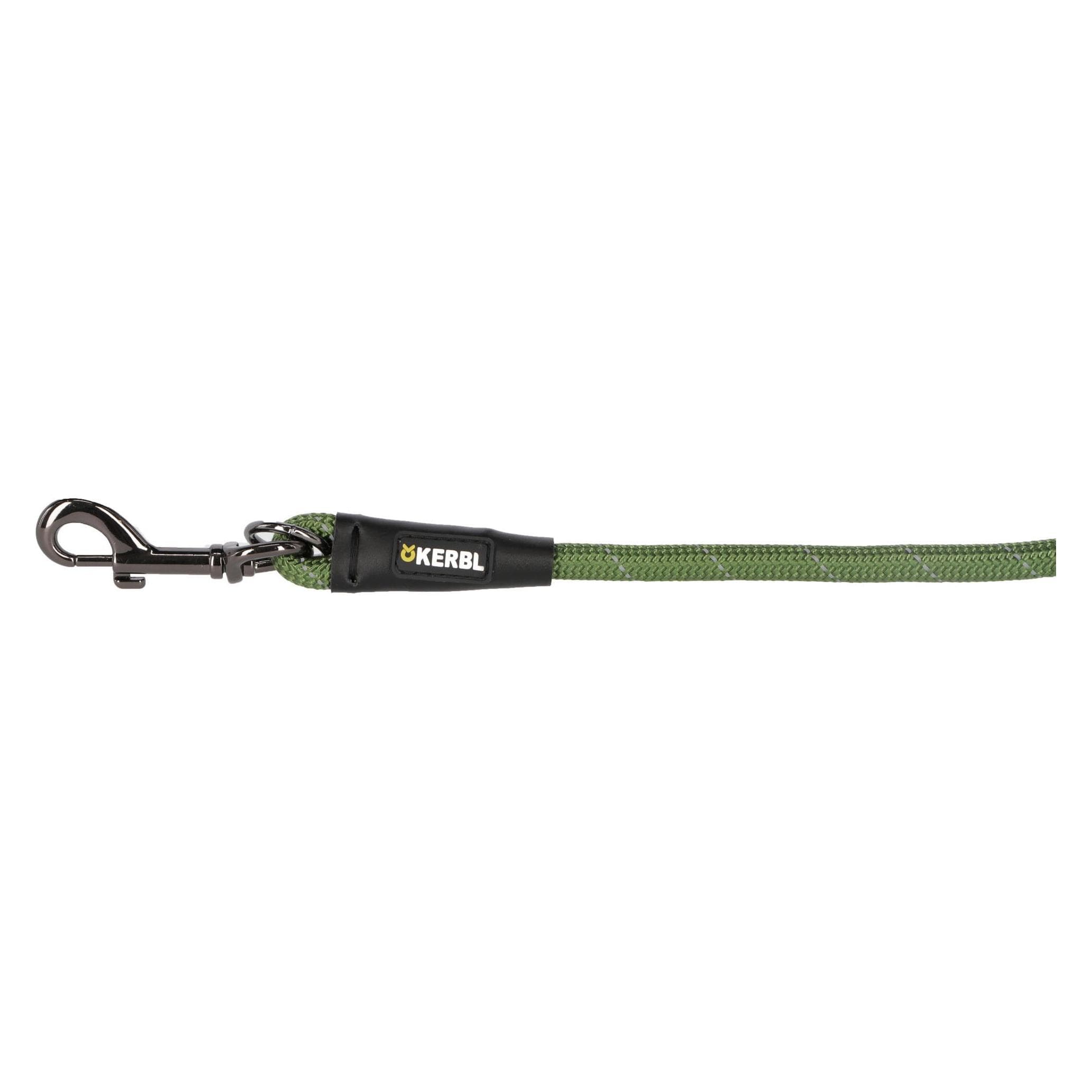 Kerbl Tauleine Seoul (Hund), Halsband + Leine