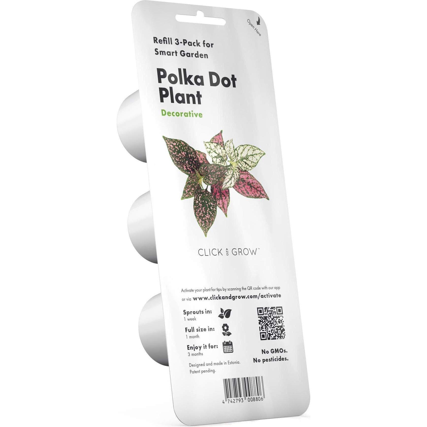 Click and Grow, Samen, Polka Punktblume Pflanzenschoten (Blumensamen)