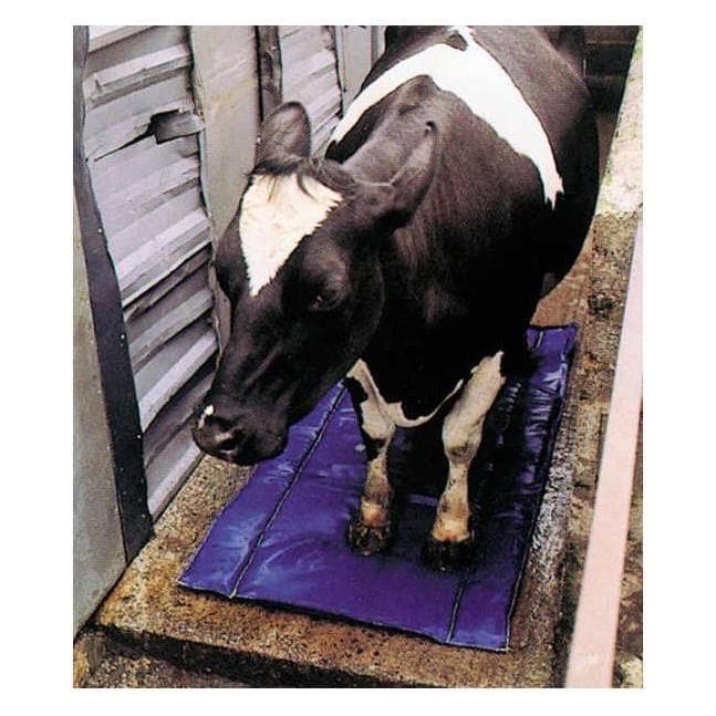 Shoof Klauendesinfektions- und -pflegematte, Tierhygiene