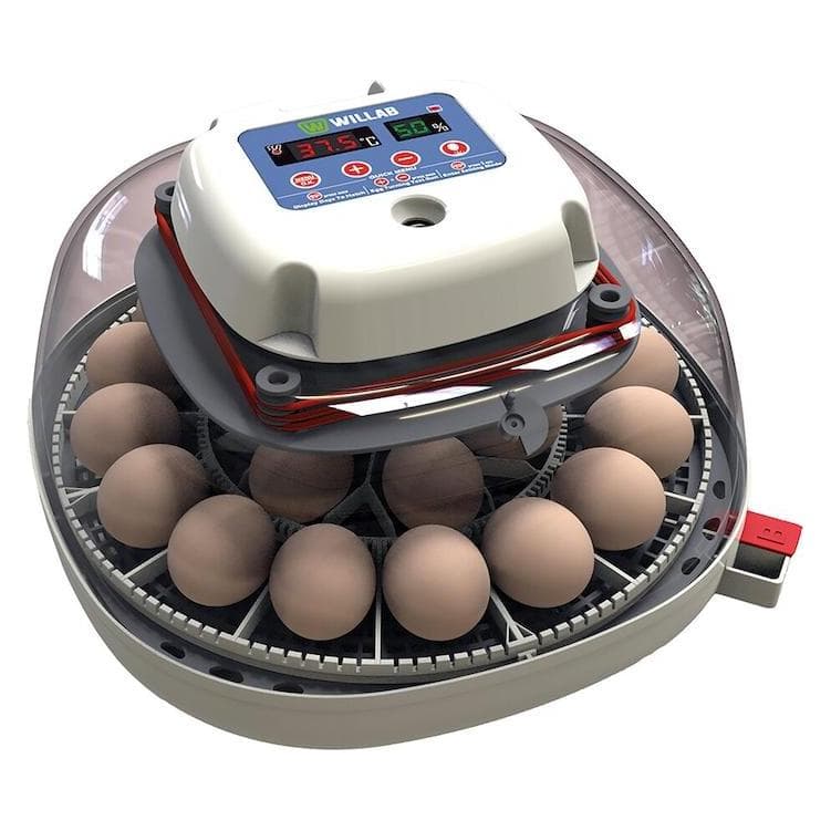 Magni, Schutzschalter, Willab - Egg incubator with room for 22 eggs - fully automated