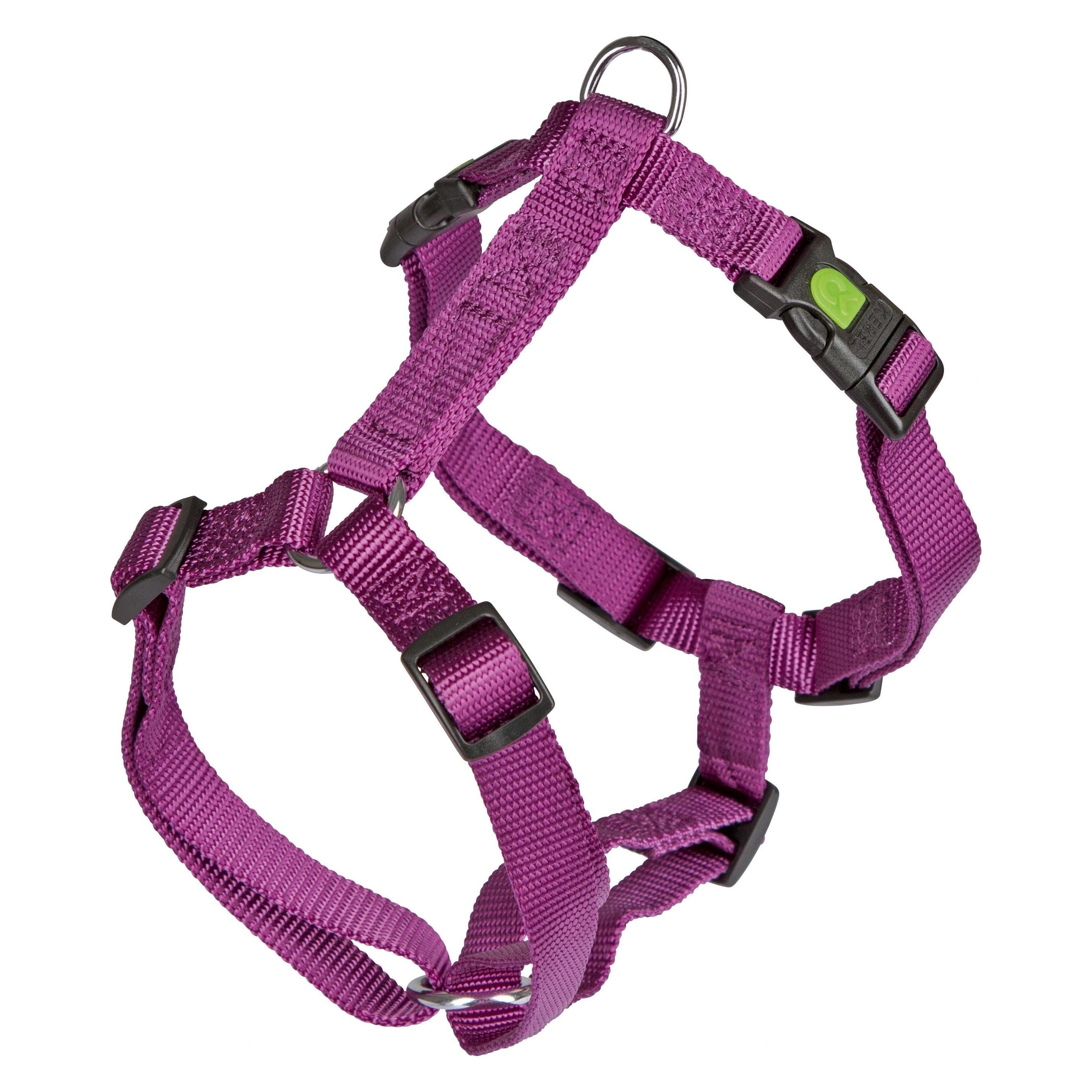 Kerbl Geschirr Miami (Hund, Allgemein, Spazieren), Halsband + Leine