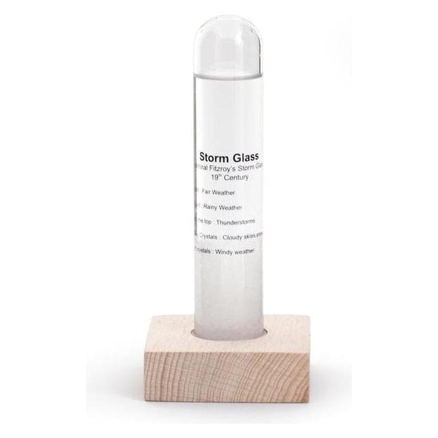 Kikkerland, Schneekugel, Storm Glass