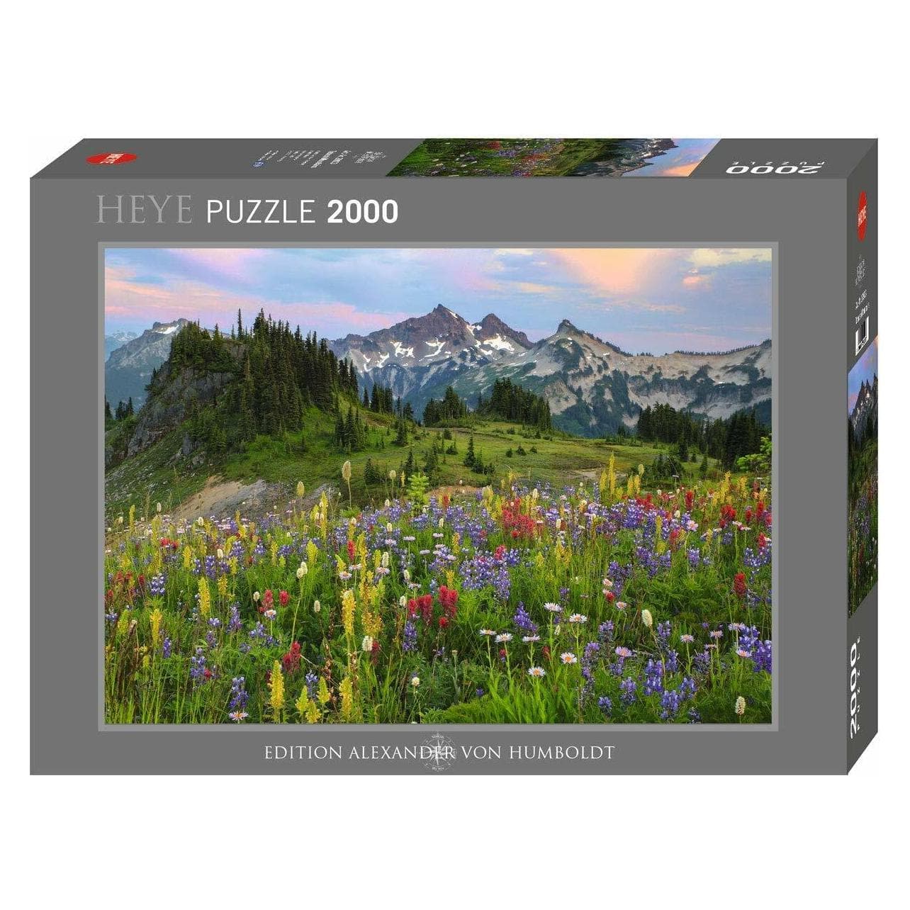 Heye Tatoosh Mountains (2000 Teile)