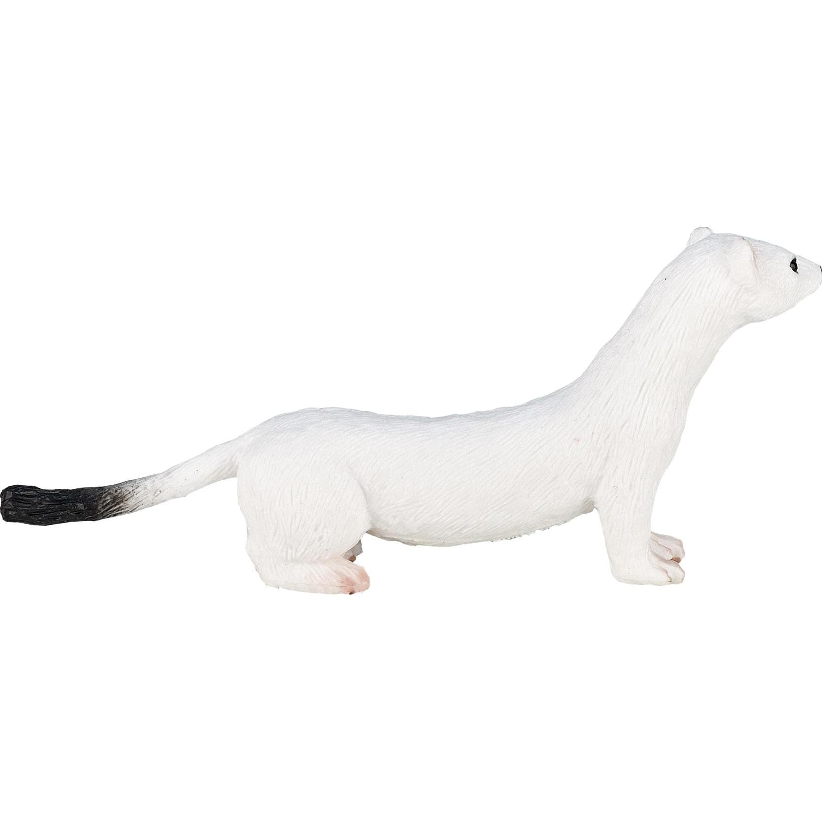 Animal Planet Hermelin Wiesel