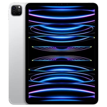 iPad Pro 11 (2022) Wi-Fi + Cellular - 256GB - Silber